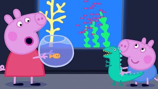 Peppa Pig Official Channel  Playgroup Star [upl. by Tai663]