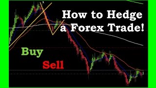 My Best Forex Hedging Strategy for FX TradingEasy hedging strategy forex hedging techniques [upl. by Rubinstein]