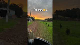 Bom dia ótima quinta feira para todos nós 🙏🏻🌞 agroforte [upl. by Cross]