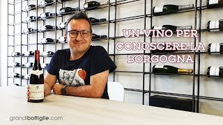 Un vino per iniziare a conoscere la Borgogna [upl. by Alleyn215]