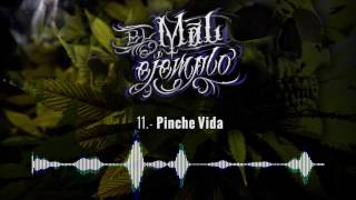 11 Pinche Vida  Santa Grifa El Mal Ejemplo VOL3 HD [upl. by Livvi]