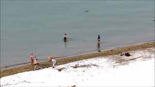 Vancouver polar bear swim 2022 How braved and Crazy the mom [upl. by Jorrie]