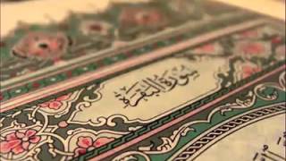 سورة البقرة كاملة  حجازية   القارئ الشيخ محمد أيوب [upl. by Carey]