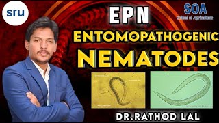 Entomopathogenic nematode EPN nematodes  entomologystudy nematode [upl. by Cavuoto]