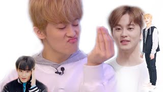 Mark Lee is a disaster but thats why you like him [upl. by Jaimie]