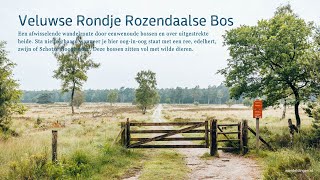 Veluwse Rondje Rozendaalse Bos [upl. by Rey]