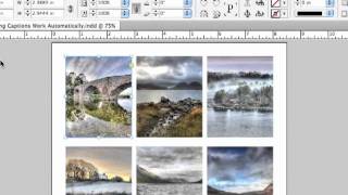 Adobe InDesign CS55 Tutorial  Captions [upl. by Enieledam]