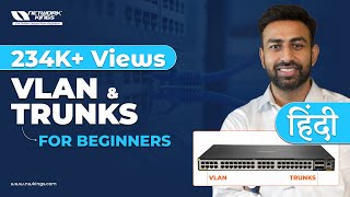 Vlans and Trunks for Beginners in Hindi  Network kings [upl. by Hoban]