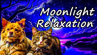 Night Moon Relax Music  Calming Melodies for Peaceful Nights [upl. by Hege]