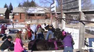 Young Gunz Chariot Racing Video 3 [upl. by Alfonse]