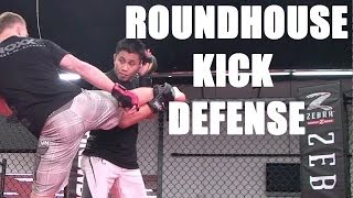 MMA Tips Roundhouse Kick Defense with Cung Le  Featured Pro Tip of the week [upl. by Marlee]