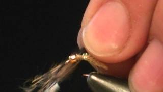 Tying Silveys Caddis Pupa [upl. by Aihsekram]