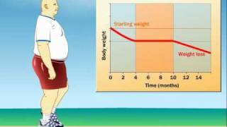 How Does Exercise Impact Weight Loss [upl. by Methuselah]