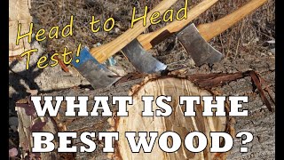 What is the Best Wood for Axe Handles [upl. by Leftwich416]