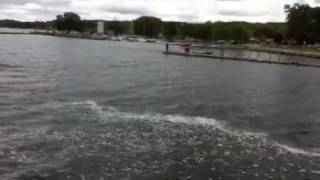 Jumping fish in Lake Charlevoix Boyne City Michigan [upl. by Vlad]