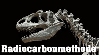 Datierung von Fossilien Radiocarbonmethode [upl. by Anivlis]