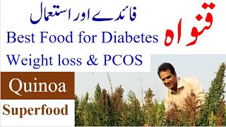 Top Superfood Quinoa benefits and uses  How to use quinoa in diabetes PCOS and weight loss [upl. by Benyamin]