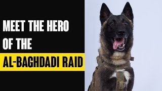 Meet The Hero of the AlBaghdadi Raid  Indiatimes [upl. by Engdahl442]