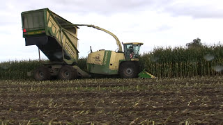 Maishakselen 10102012 Harvesting Maize with a Krone Big X Cargo [upl. by Ikir]