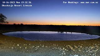 Okaukuejo Resort Wildlife Waterhole Live camera stream in the Etosha National Park in Namibia [upl. by Runstadler]