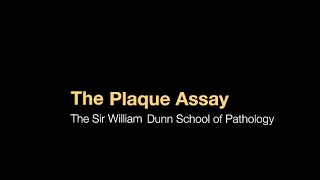 The plaque assay [upl. by Alecram]