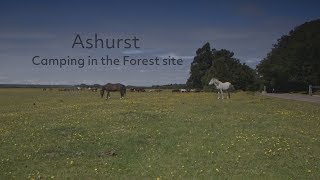 Ashurst Camping in the Forest site [upl. by Zurn]