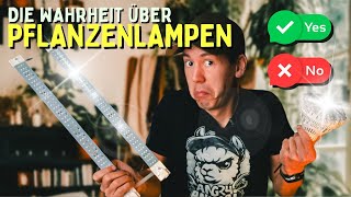 Pflanzenlampe 🤯 Hui oder Pfui  Wie viel Licht braucht deine Pflanze [upl. by Kurt]