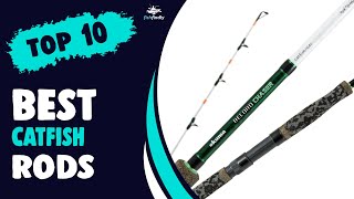 Best Catfish Rods in 2021 – Choose the Perfect One [upl. by Lemahs]