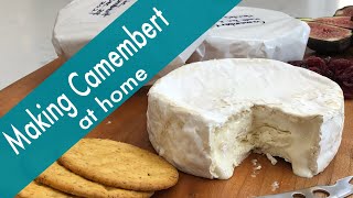 How to Make a CamembertStyle Cheese at Home [upl. by Kalli]