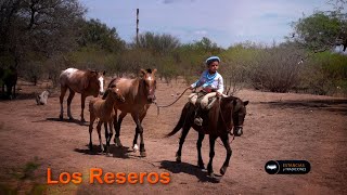 275 Agrupación Gaucha Los Reseros San Luis  Estancias y Tradiciones [upl. by Nelrsa225]