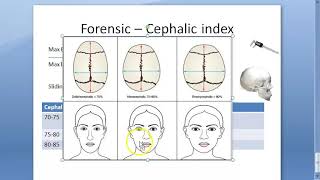 Forensic 040 a Cephalic Index Dolichocephalic MesatiCephalic Indians Brachycephalic [upl. by Tibbetts629]