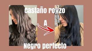 CÓMO QUITAR EL ROJO  Cabello negro perfecto  ✨tip para eliminar reflejos rojos [upl. by Nnasor631]