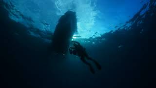 Tubo Volcánico de Garachico buceo  Visit Tenerife [upl. by Niles114]