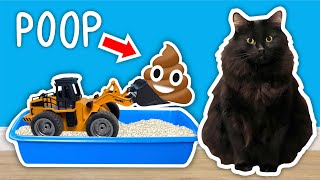 I Built A CAT POOP Cleaning Contraption [upl. by Leirej]