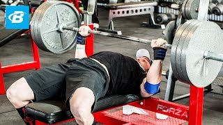 How To Bench Press Layne Nortons Complete Guide [upl. by Akapol912]