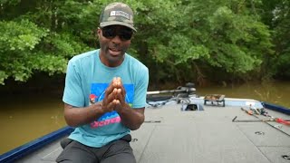 Lowe Stinger 188 Ultimate Aluminum Bass Boat  Walkthrough and Review [upl. by Lorri]