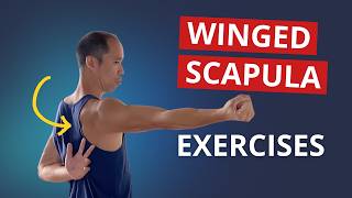 4 Exercises to Fix Winged Scapula amp Build STABLE Shoulder Blades [upl. by Lacombe]