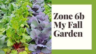 The Fall Garden Zone 6b  What I plant When  Presentation [upl. by Benjy398]