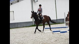 2511 Cours de dressage [upl. by Barbra262]