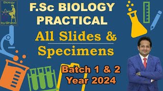 All Slides amp Animal Specimens of Year 2024 Lahore Board Practical Papers  Sirumairbhatti [upl. by Enitselec]