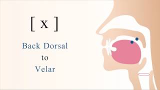 x  unvoiced dorsal velar non sibilant fricative [upl. by Farny]