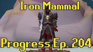 The 5000 KC Grind  Iron Mammal Progress 204 [upl. by Etnahsa]