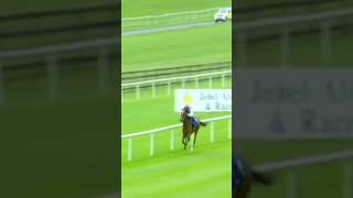 Enable was magnificent in the 2017 Irish Oaks 🏆 horseracing racingtv britishhorseracing [upl. by Mulac]