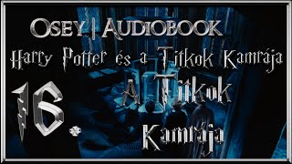 Harry Potter és a Titkok Kamrája hangoskönyv  16 fejezet [upl. by Cecilla]