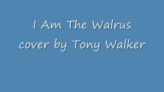 The Beatles I am the Walrus acoustic cover with lyrics [upl. by Ashla]