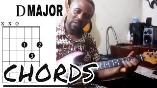 How to Play the DIATONIC CHORDS in D Major Guitar Tutorial for Beginners [upl. by Wardlaw]