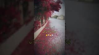 Poetry WhatsApp Status  Urdu Poetry  Urdu poetry status video  Heart touching Poetry Status Video [upl. by Akcinahs983]