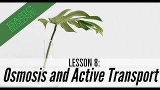 Basic Biology Lesson 8  Osmosis and Active Transport GCSE Science [upl. by Nodarse766]