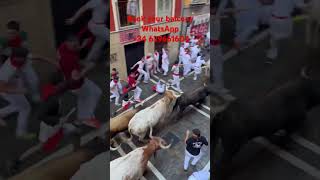 Book a balcony WhatsApp 34 629661604 encierro pamplona runningofthebulls [upl. by Thayer]