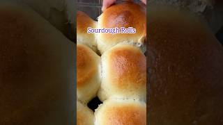 Sourdough Rolls Dinner rolls made with sourdough discard sourdough dinnerrolls [upl. by Amhser]